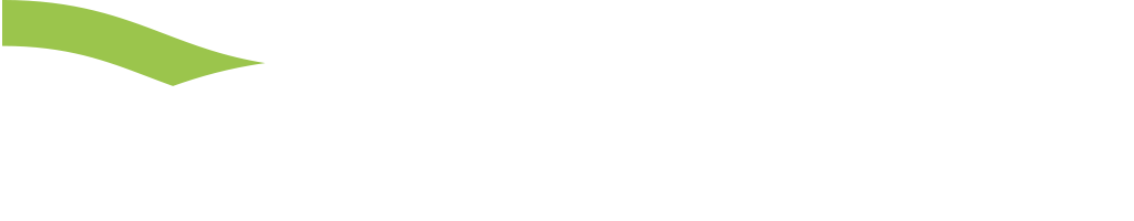 logo bindingfuture